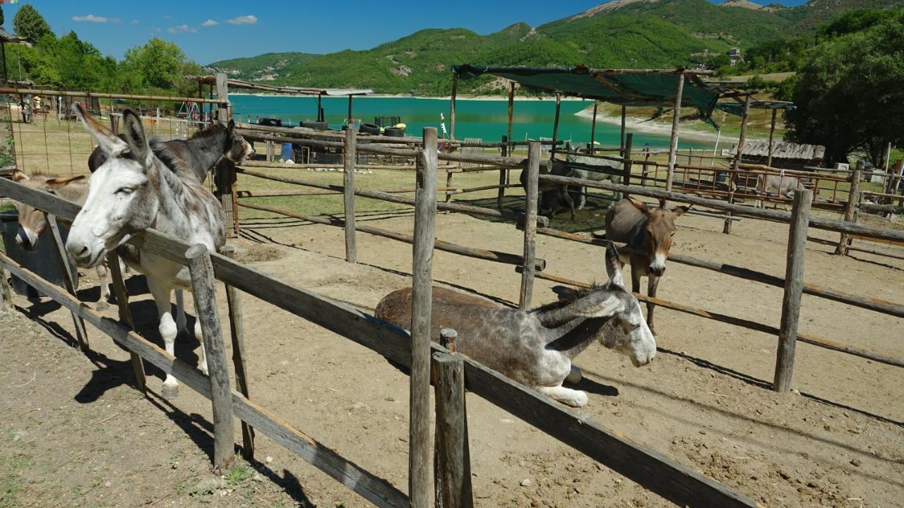 La Terrazza Sul Lago Turano 카스텔 디 토라 외부 사진