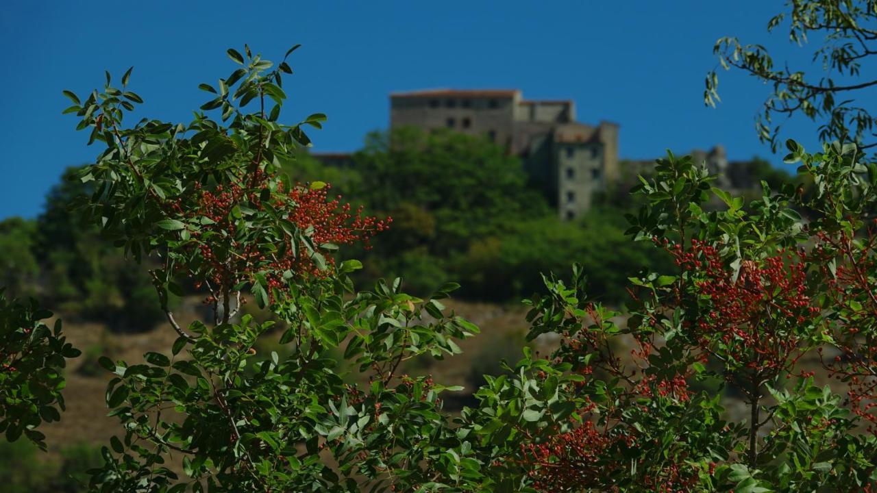 La Terrazza Sul Lago Turano 카스텔 디 토라 외부 사진